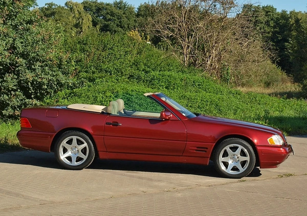 Mercedes-Benz SL cena 80000 przebieg: 115000, rok produkcji 1997 z Warszawa małe 781